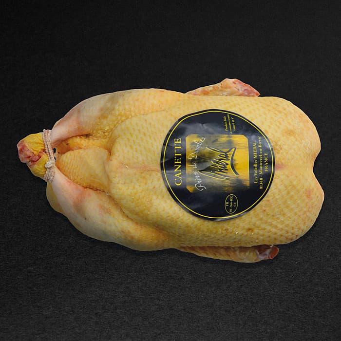 Barbarie Ente Le Prince de Dombes von Miéral, tiefgefroren